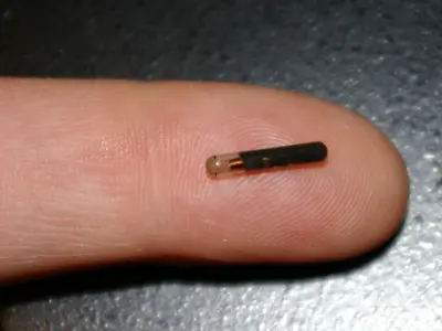 Microchip Clinics - Ottawa Humane Society