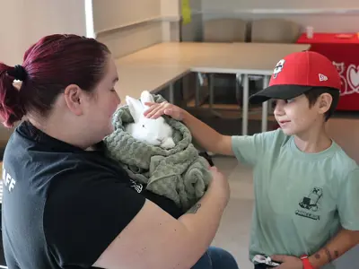 Child petting a rabbit