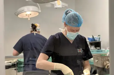 Veterinarian performing a sterilization surgery