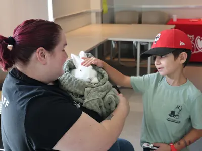 OHS staff holding a bunny with a child petting it