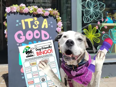 Dog standing outside of a storefront holding a bingo card. 