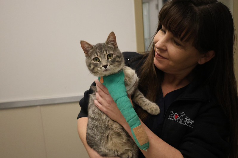 Woman holding a cat wearing a cast