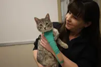 Woman holding a cat with a cast on its leg.