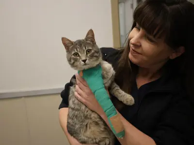 Woman holding a cat with a cast on its leg.