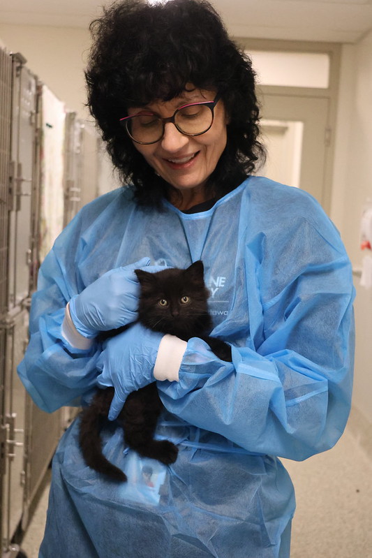 Woman in PPE holding black cat
