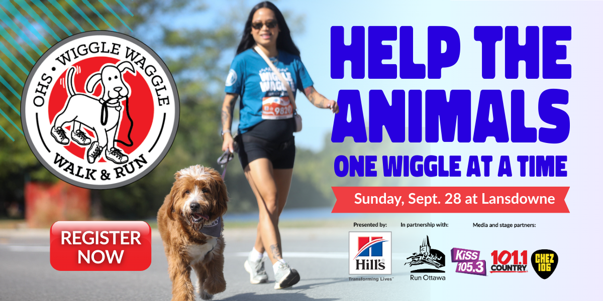 WWWR Banner