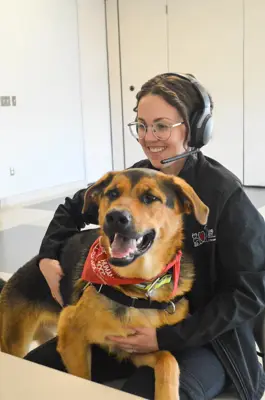 A woman with a headset has a dog on her lap while she teaches a class through a Zoom call. 