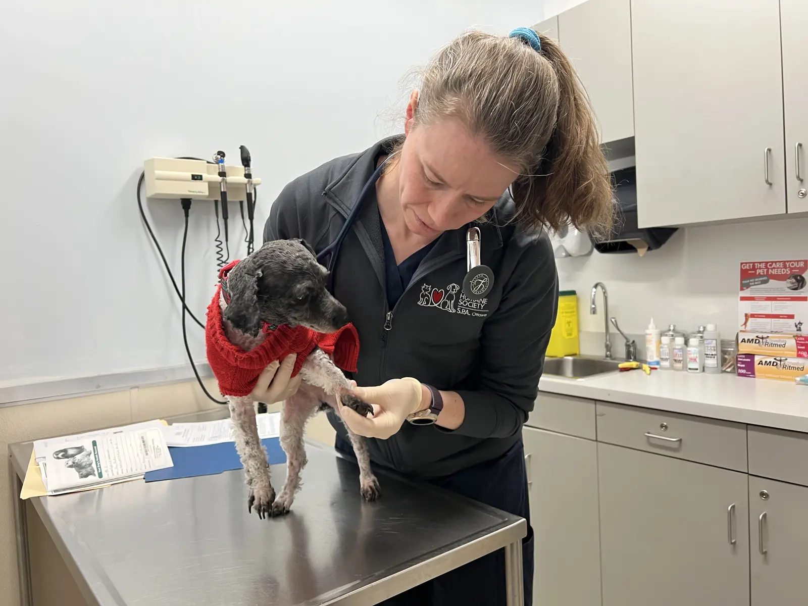 Wellness Clinics Ottawa Humane Society wellness-clinics-ottawa-humane-society