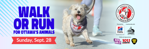 Walk or run for Ottawa's Animals, register for the Wiggle Waggle Walk & Run!