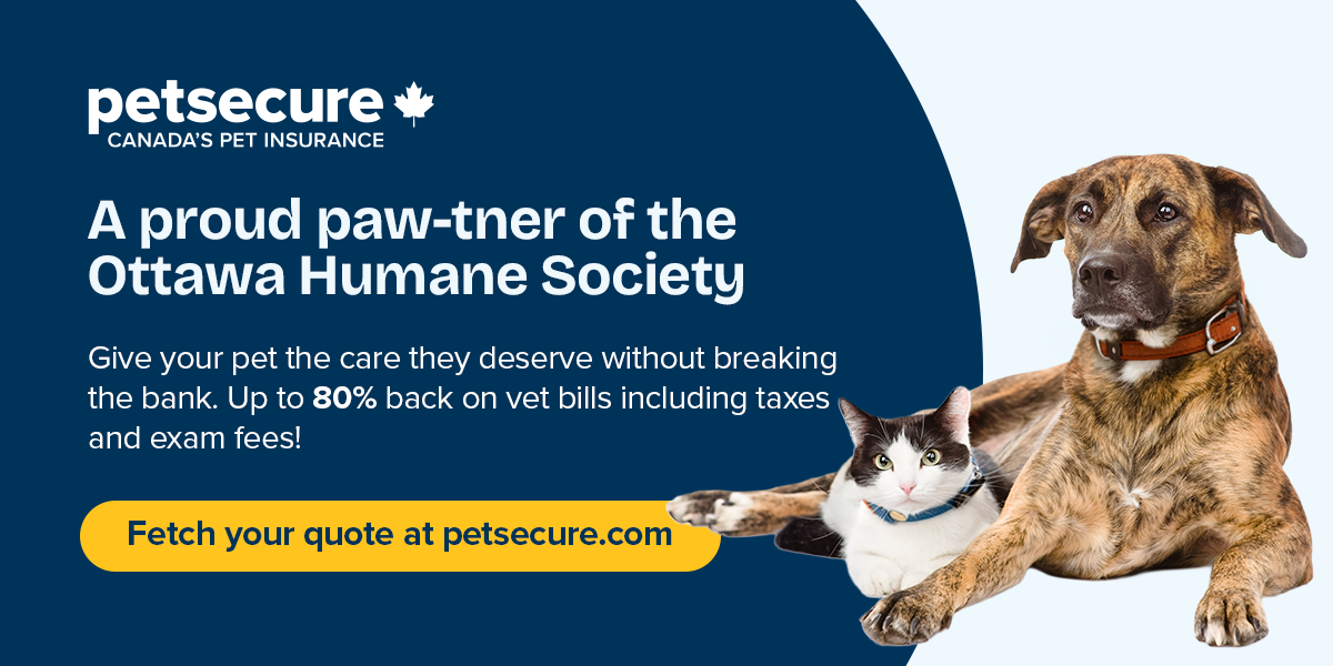 PetSecure