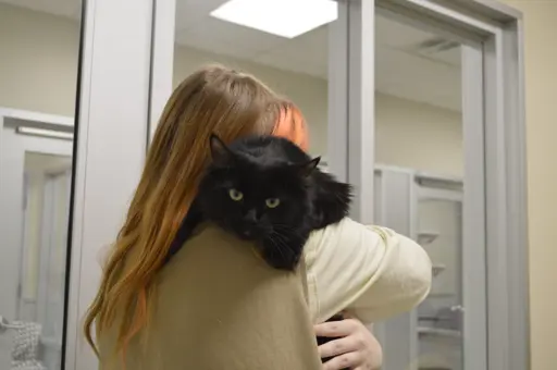 Woman hugging a black cat.